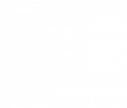 WT Altra IT-Services GmbH