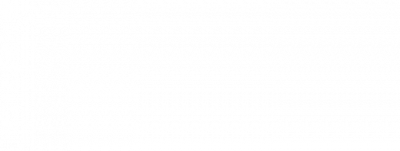 WT Altra IT-Services GmbH